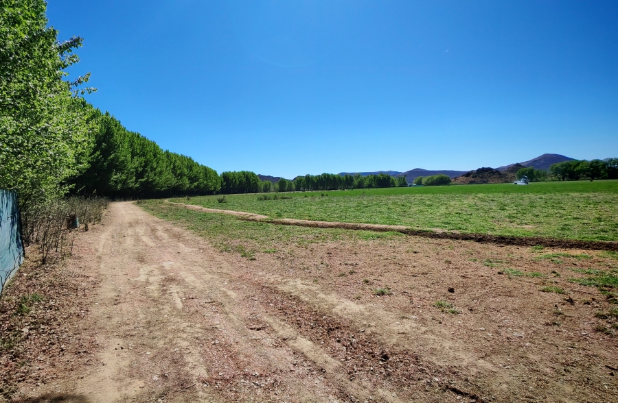 4 Bedroom Property for Sale in Middelburg Rural Eastern Cape